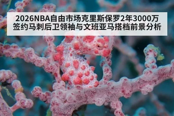 2026NBA自由市场克里斯保罗2年3000万签约马刺后卫领袖与文班亚马搭档前景分析