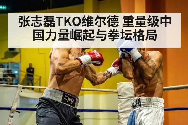 张志磊TKO维尔德 重量级中国力量崛起与拳坛格局