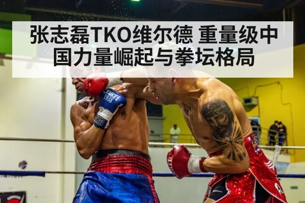 boxer knockout punch